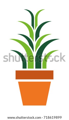 Houseplant vector icon