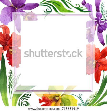 Wildflower orchid flower frame in a watercolor style. Full name of the plant: colorful orchid. Aquarelle wild flower for background, texture, wrapper pattern, frame or border.