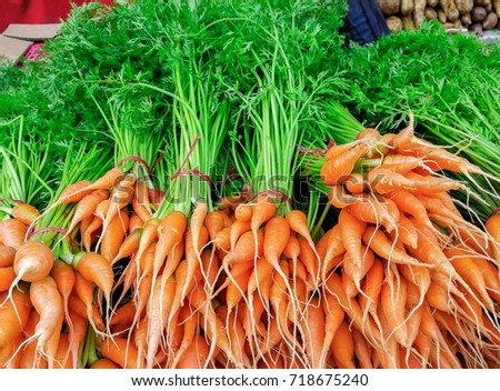 Close-up of fresh dutch carrot bunches and turnip with price tags in local farmers market
