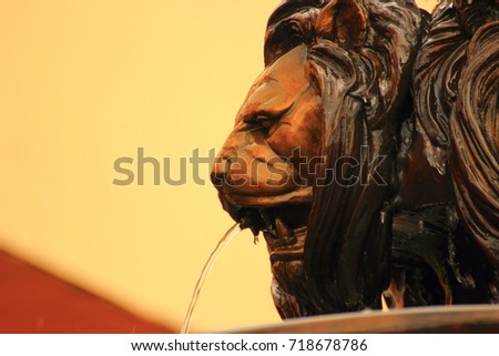 the decoration on the fountain in the form of a lion's head from the mouth of which pours out water
