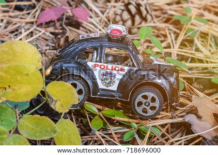 toy police car in the forest against the grass background