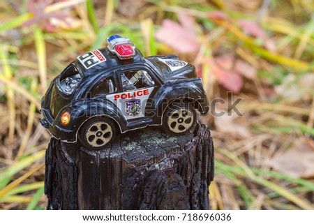 toy police car in the forest against the grass background