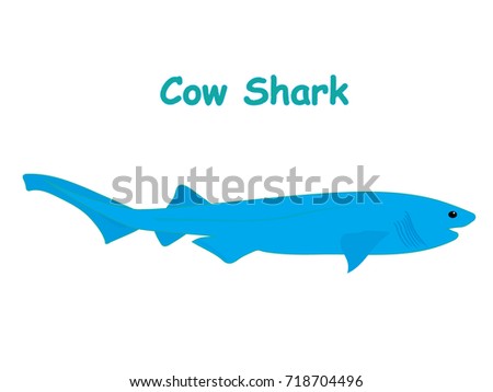 Fish vector cartoon illustration t shirt design for kids with aquatic animal cow shark fish isolated on white background, design for introduction different types of fish for your children