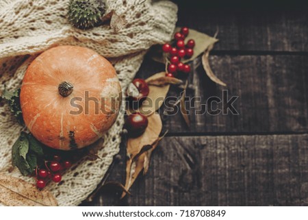 beautiful pumpkin on knitted sweater with leaves on rustic wooden background, top view. space for text. halloween or thanksgiving concept greeting card flat lay. cozy autumn mood