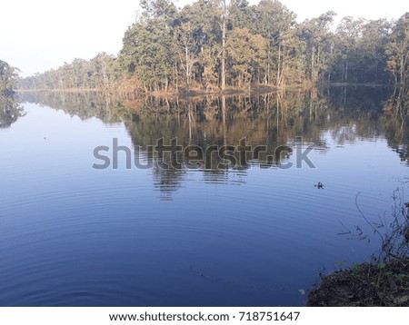 amazing lake with forest
this is the photo of amazing lake near a forest . in this picture shadow in the water