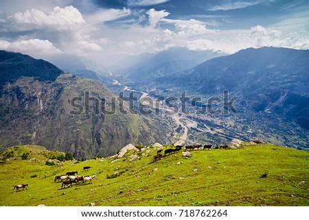 Aerial view of the Kullu valley with horses in the foreground. Naggar, Himachal Pradesh. North India. Royalty-Free Stock Photo #718762264
