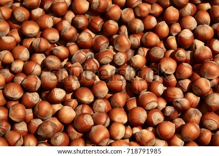 Group of hazelnuts food background texture Royalty-Free Stock Photo #718791985