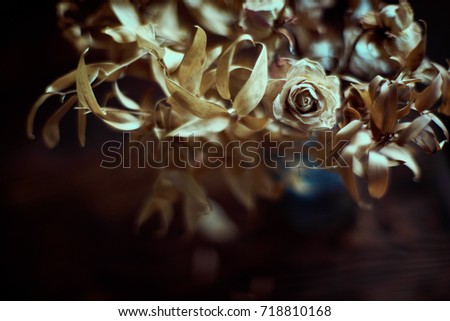 Dried flowers in glass vase. Vintage autumn dark still life