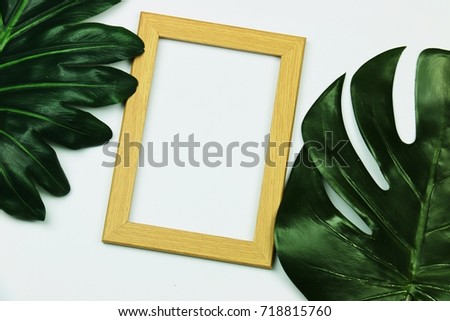 Pine green shade of Monstera leaf and Philodendron Xanadu leaf , Copy space on empty picture frame for creative design