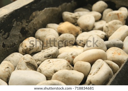 White Rocks in The Pot