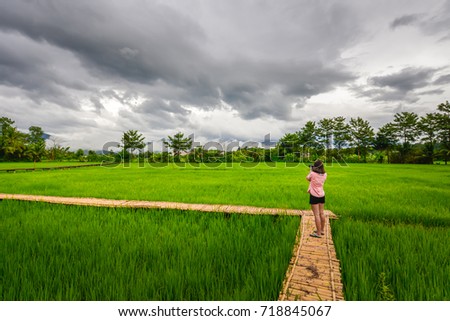 Asian girl tourist is taking a photo on the bamboo bridge in the rice field at Pua district, Nan in Thailand
