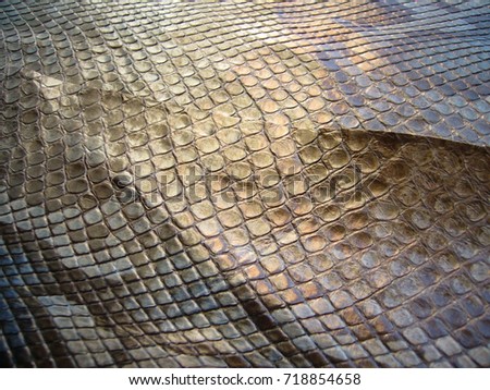 The texture of snake skin. An animated background. Python skin.