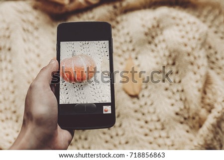 hand holding phone and taking photo of pumpkin and leaf on warm sweater, top view. instagram blogging concept. halloween or thanksgiving fall holiday. space for text. cozy mood autumn
