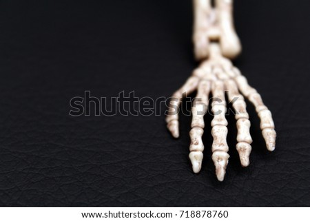 SKELETON HAND UP CLOSE ON RIGHT