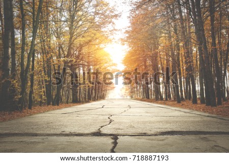 autumn road space