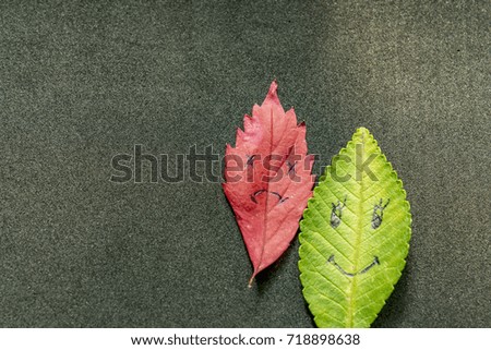Green and red leaves with a picture of happy and sad faces on black background