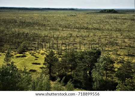 Swamp aerial photo