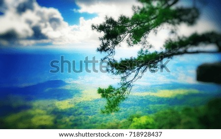 Blurred, blue sky, green tree in woodland, soft focus.