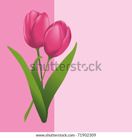 Tulips  pink card