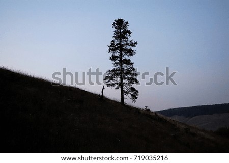 One tree in mountains