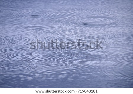 circles on the water of the lake