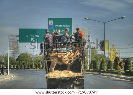 Truck transport people cow highway Thailand