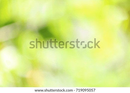 Abstract background image blurred green leaf bright.