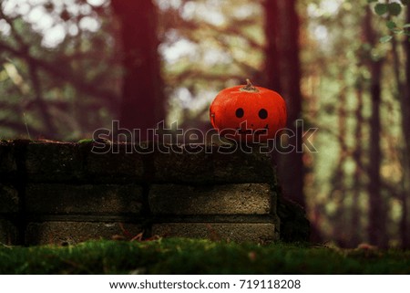 Halloween pumpkin on nature background. Holiday Halloween concept.