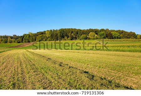 Countryside view in autumn. The picture was taken in the beginning of September in the Glatt Valley region of the Swiss canton of Zurich.