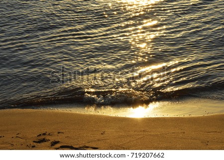 The sea shore at sunset 