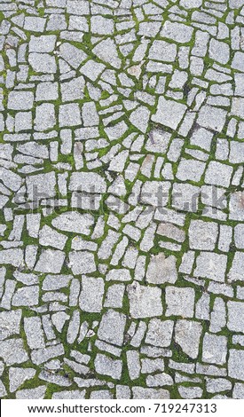 Stone and lawn flooring