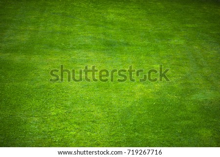 grass cut in the background