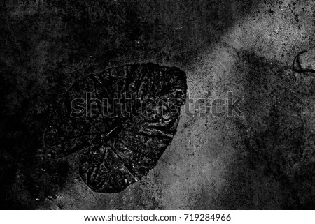 Black and white color texture pattern abstract background can be use as wall paper screen saver brochure cover page or for presentations background or article background also have copy space for text.