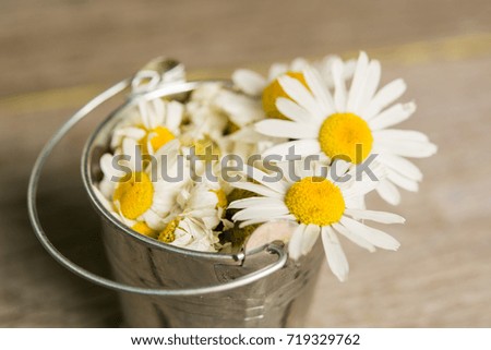 daisy flowers on wooden table. room for text
