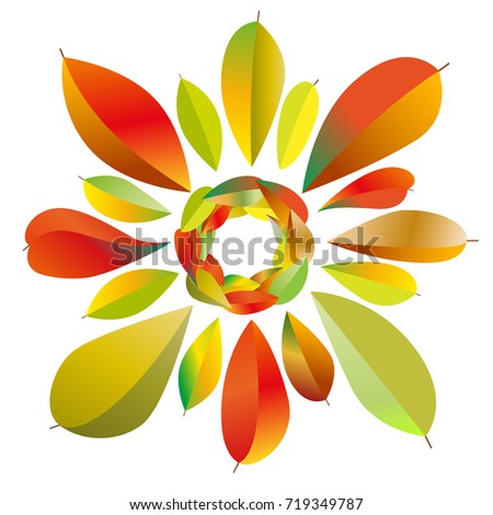 bright autumn leaves on white background