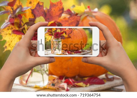 Woman take photo of pumpkin and autumn bouquet by phone