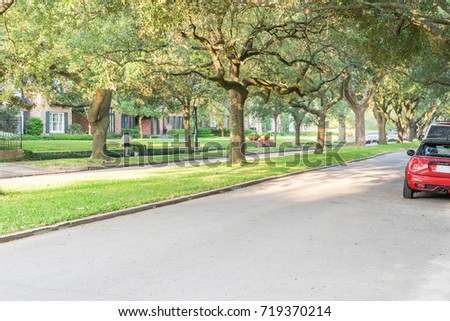 Side view of residential street covered by live oak arched tree branches at upscale neighborhood in Houston, Texas. Car parked side street, woman walks dog. America is excellent green, clean country