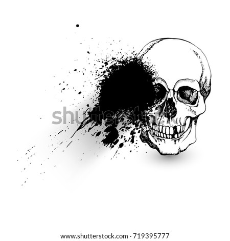 Interesting skull vector. Painted, bright and attractive. Hand drawn with hatching