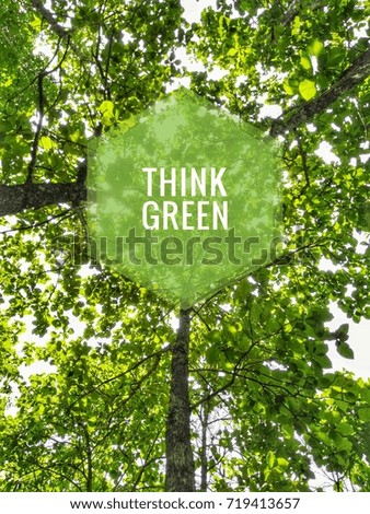 Think green logo over blurred green tree background