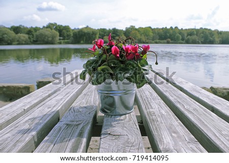 Flowers Near Lake in a Restaurant