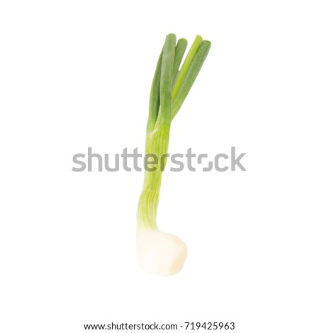 Spring onion isolated on white background.