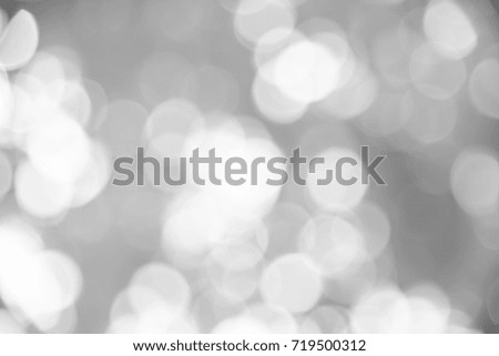 Black and white bokeh background from natural forest