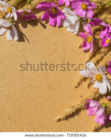 Autumn bright field flowers on beige background with empty copy space