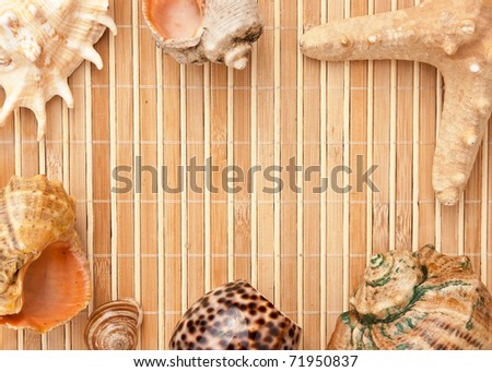 Photo frame of mats and sea shells