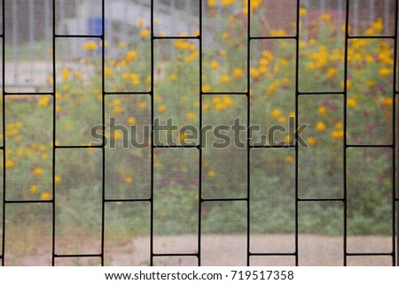 Mosquito screens in the home with flower views.