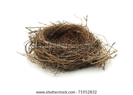 Real empty bird nest on white Royalty-Free Stock Photo #71952832