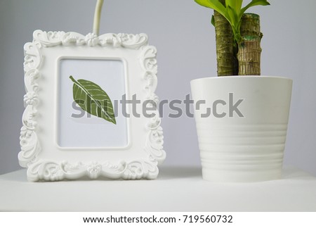 A frame that has leaves inside it as a sign of go green.