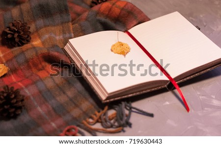 Colorful women's warm clothing - scarf - decorated with yellow autumn leaves and a fir cone, notebook/ Clothes isolated on light background, Fashion design concept