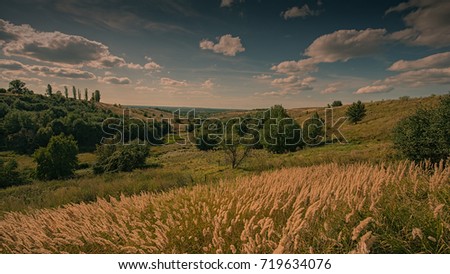 landscape in hilly terrain with dry feather grass. Panorama. Ukraine. Europe.