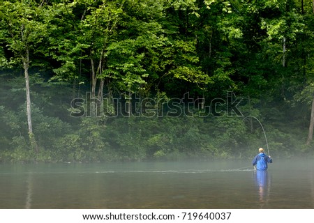 Fisherman fly fishing in a misty Eleven Point River, Missouri in the early morning standing waist deep in the water with his rod in a lush green environment Royalty-Free Stock Photo #719640037